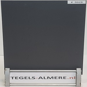 tegels-0029