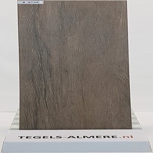 tegels-0106