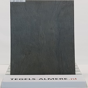 tegels-0107