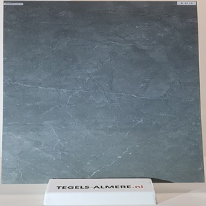 tegels-0110