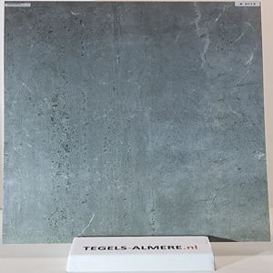 tegels-0113