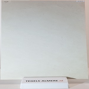 tegels-0117