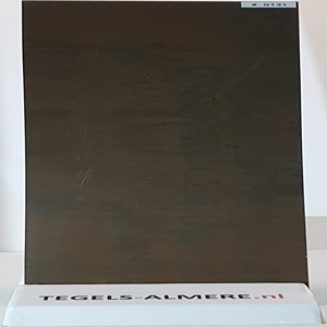 tegels-0131