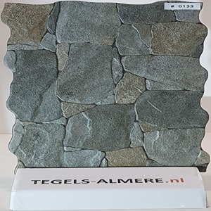 tegels-0133